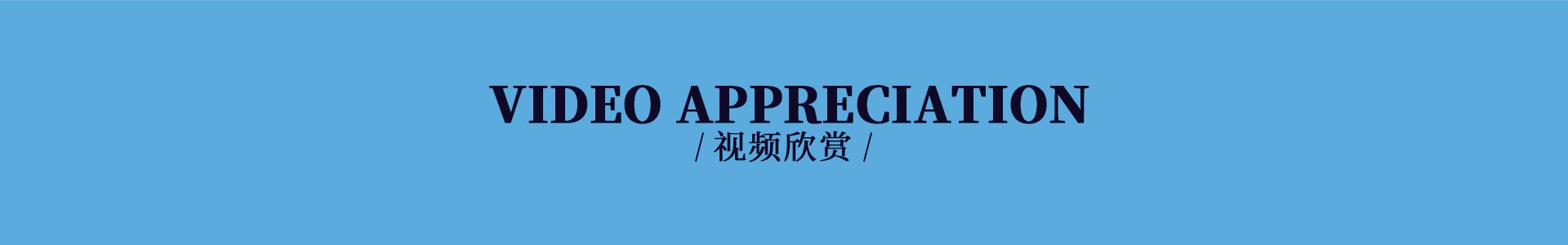 圣澳威斯服裝品牌視頻介紹